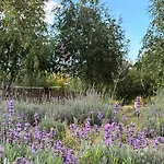 Zagroda Olszowka * Przykona