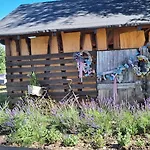 Zagroda Olszowka Przykona