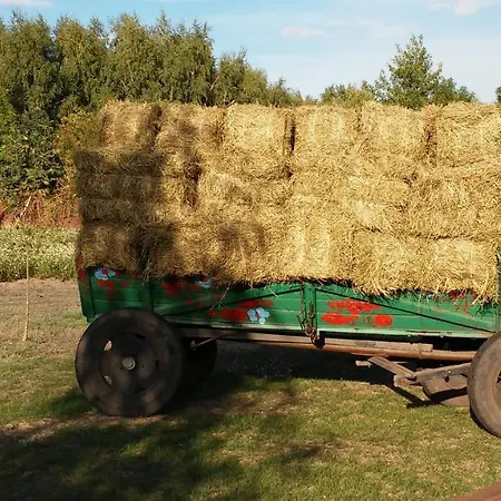 Zagroda Olszowka Dom wakacyjny Przykona