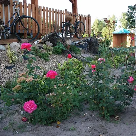 Zagroda Olszowka 펜션 *