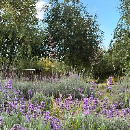 Zagroda Olszowka * Przykona