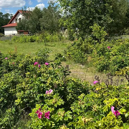 펜션 Zagroda Olszowka