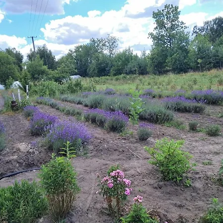 펜션 Zagroda Olszowka