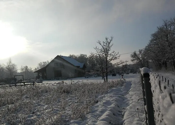 Zagroda Olszowka Holiday home Przykona