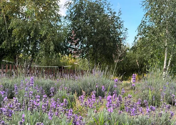 Zagroda Olszowka * Przykona