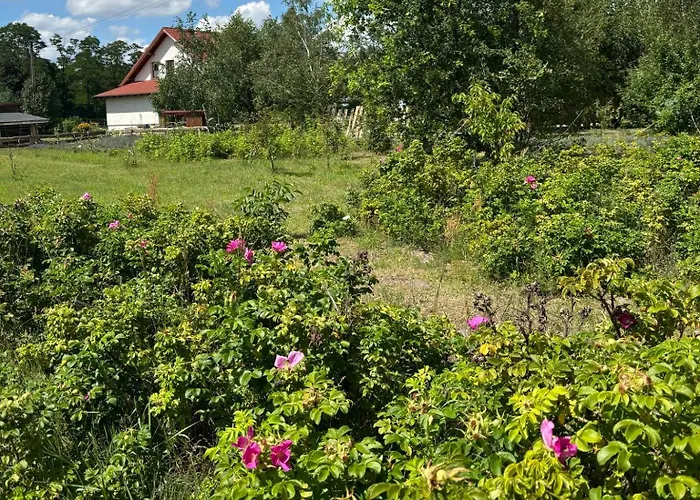 Holiday home Zagroda Olszowka